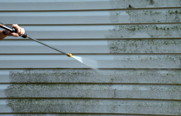 Best Sidewalk and Walkway Cleaning  in Wellsville, KS